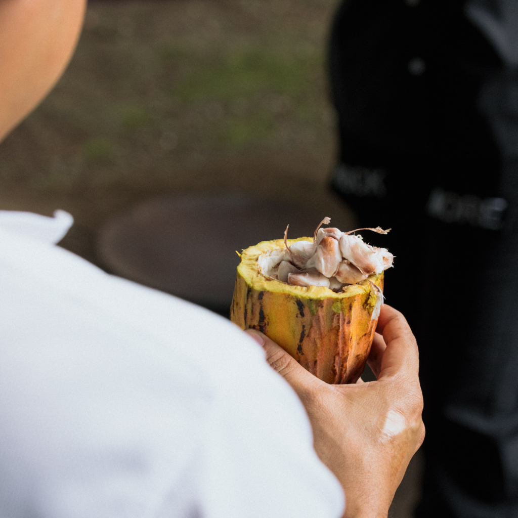 COFFEE & CACAO TOUR (FULL DAY)